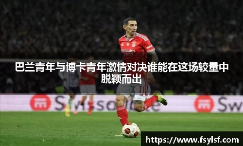 星空·综合体育官方网站